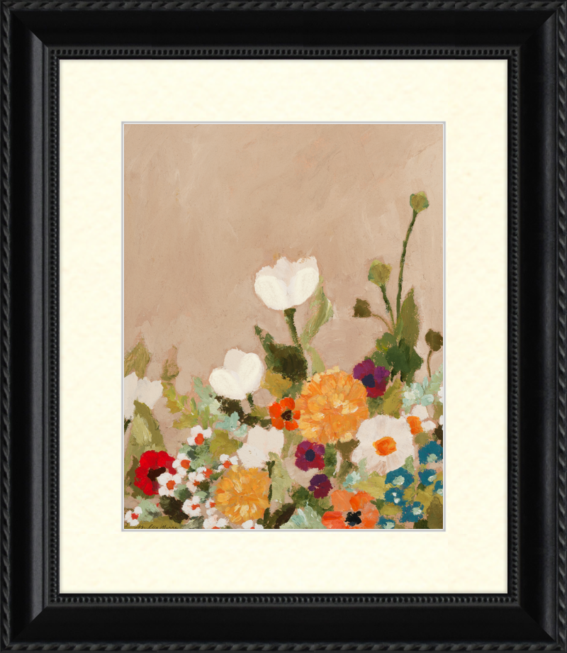 Little White Tulip