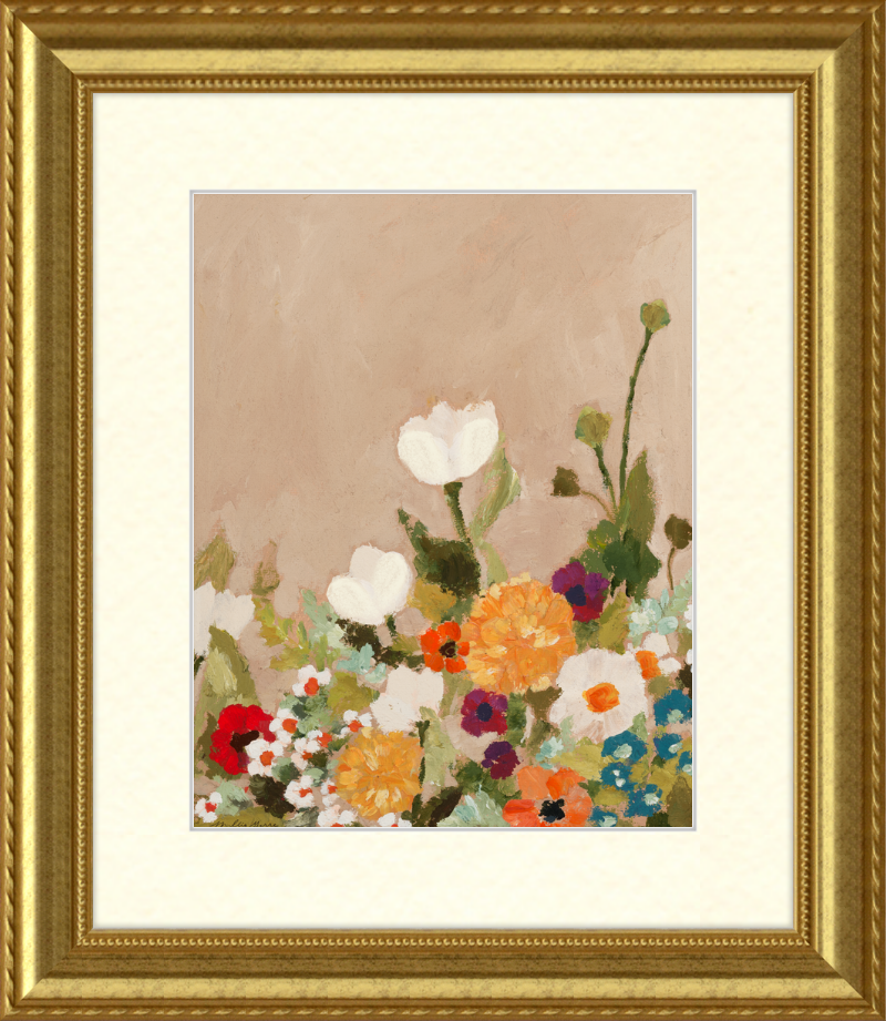 Little White Tulip