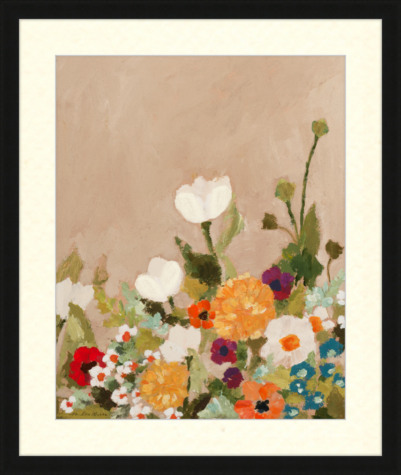 Little White Tulip