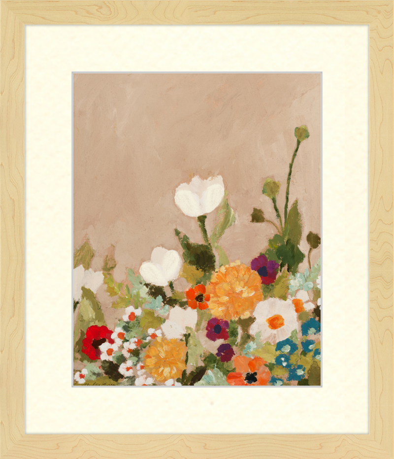Little White Tulip