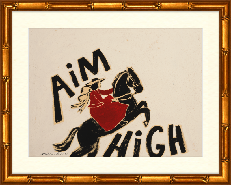 Aim High