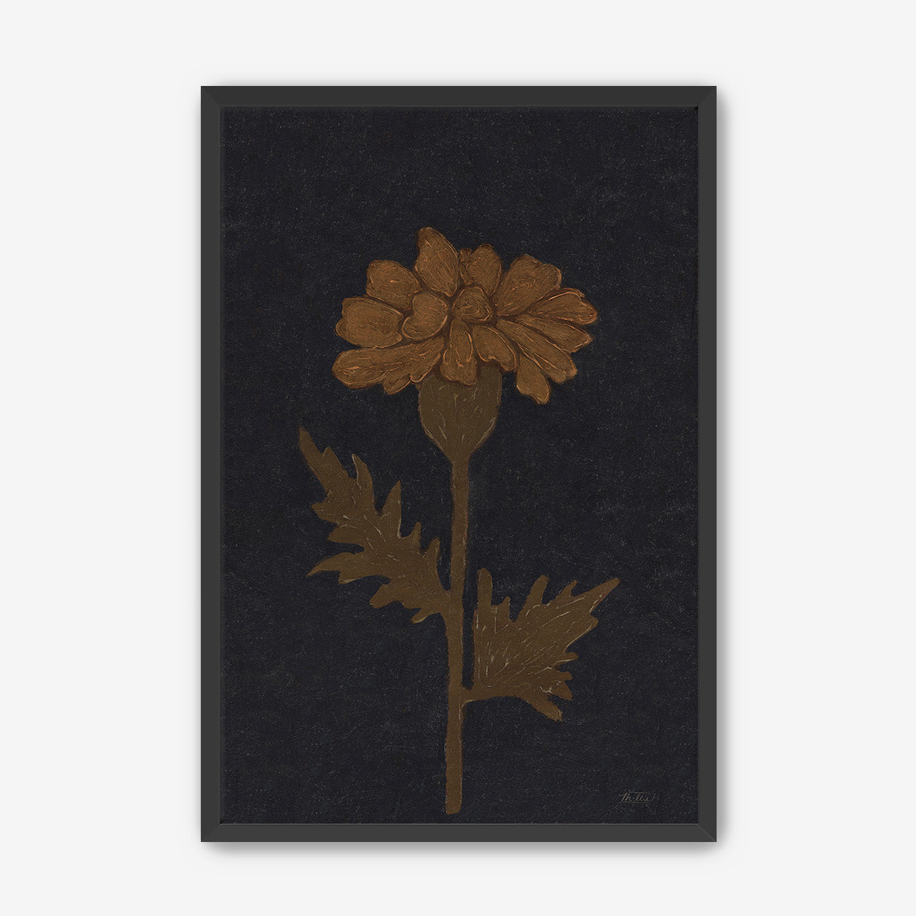 Marigold in Black