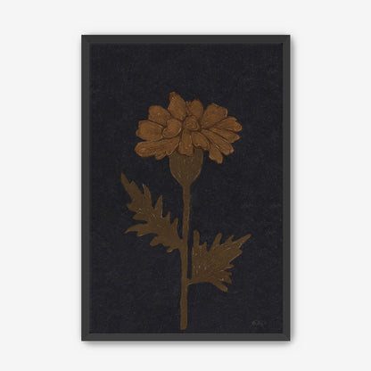 Marigold in Black