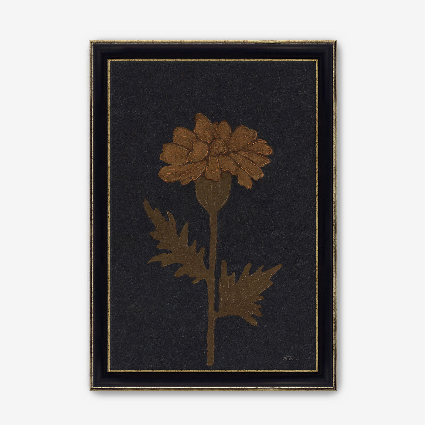 Marigold in Black