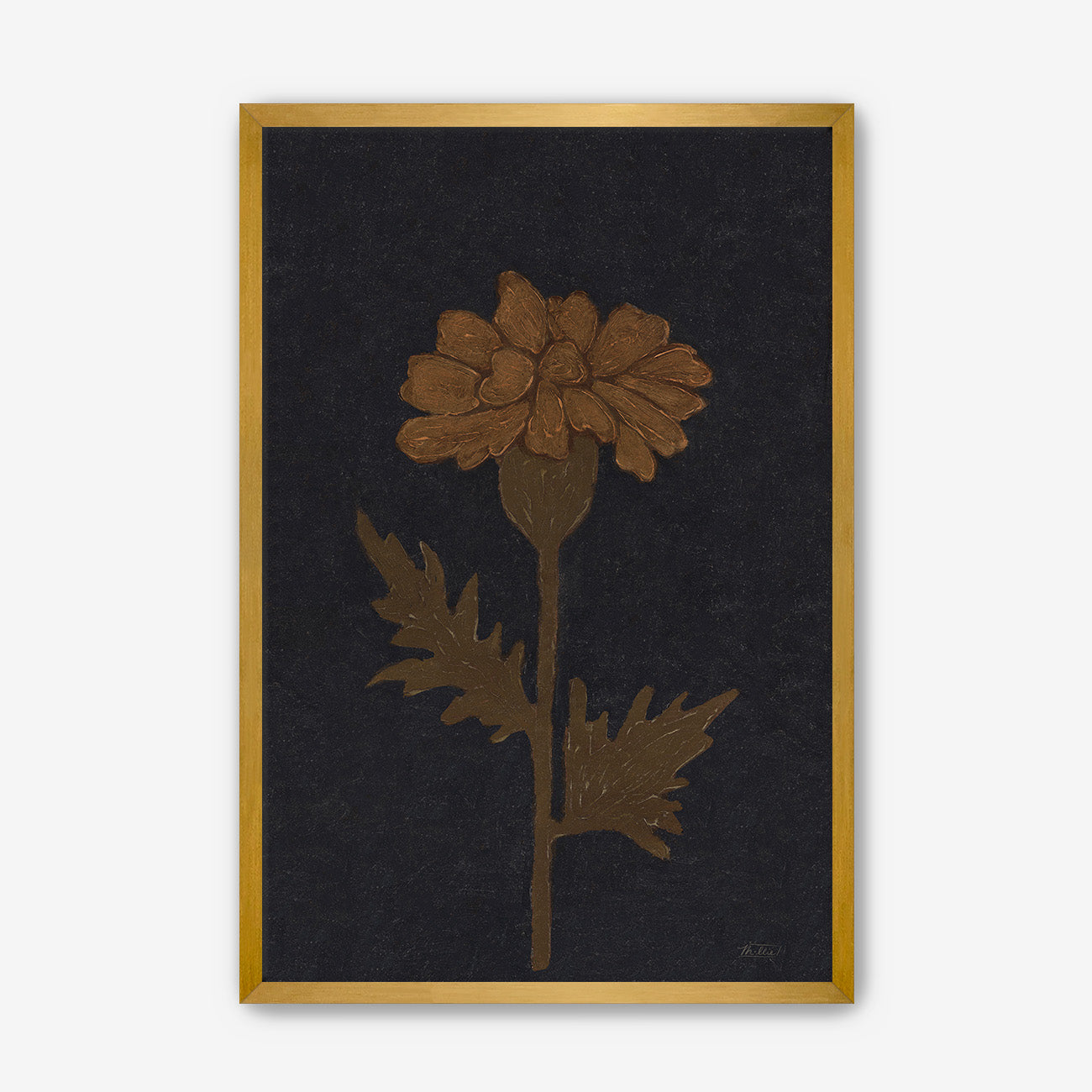 Marigold in Black
