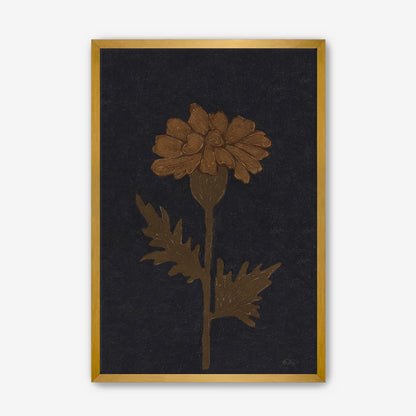 Marigold in Black