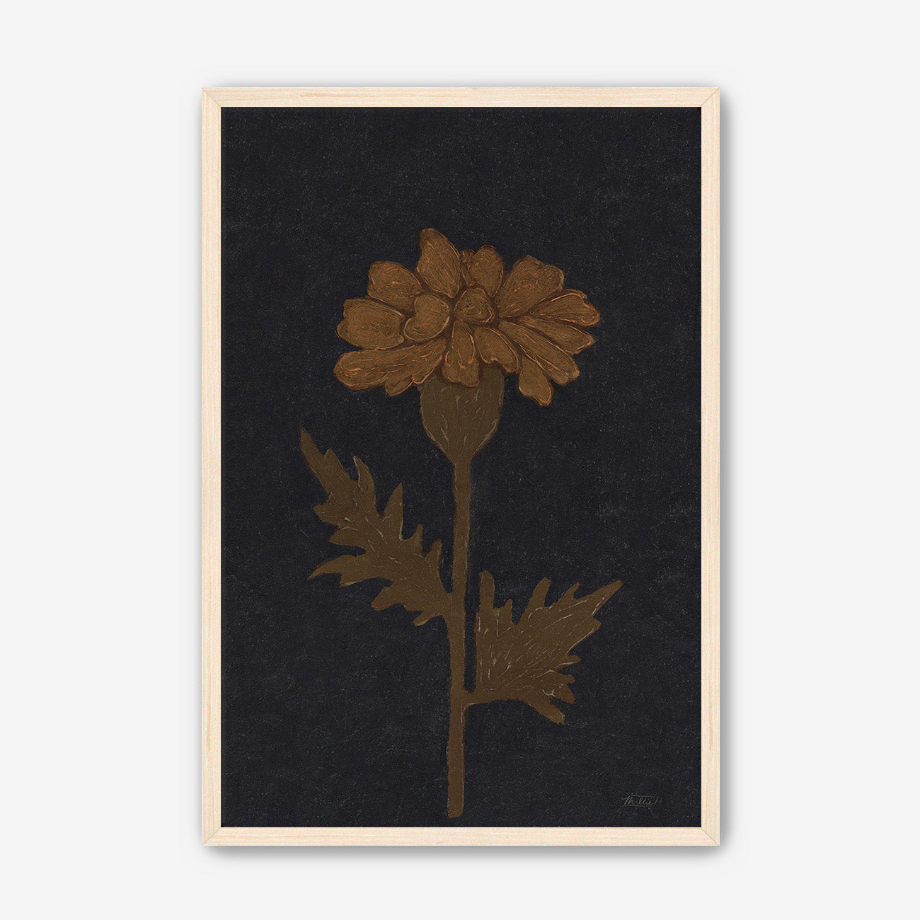 Marigold in Black