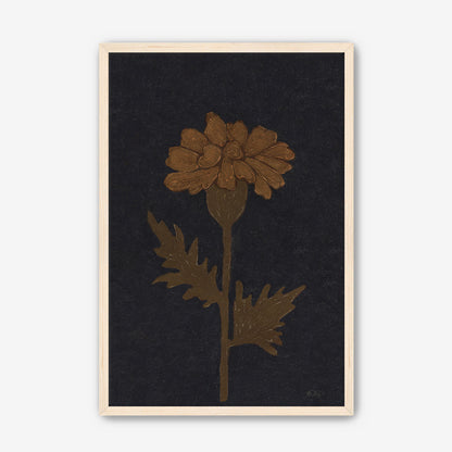 Marigold in Black
