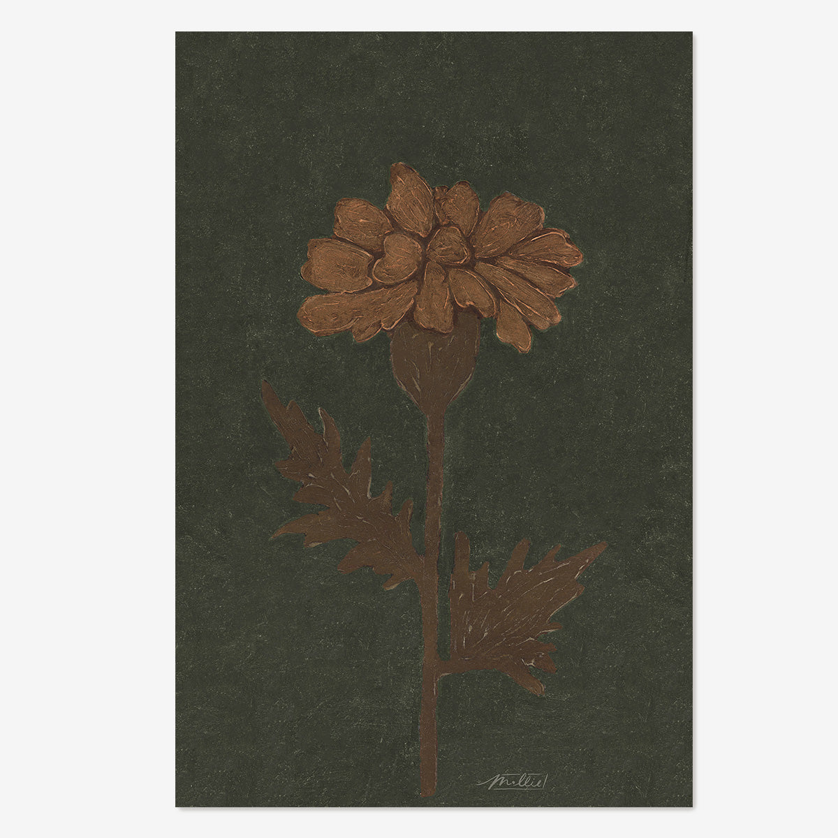 Marigold in Green