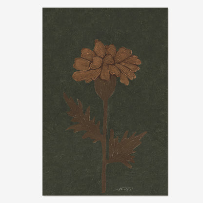 Marigold in Green