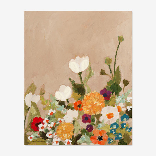 Pequeño tulipán blanco