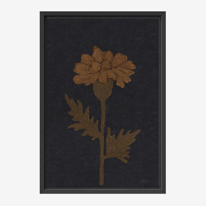Marigold in Black