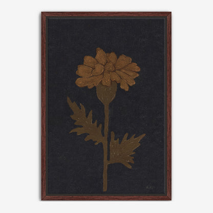 Marigold in Black