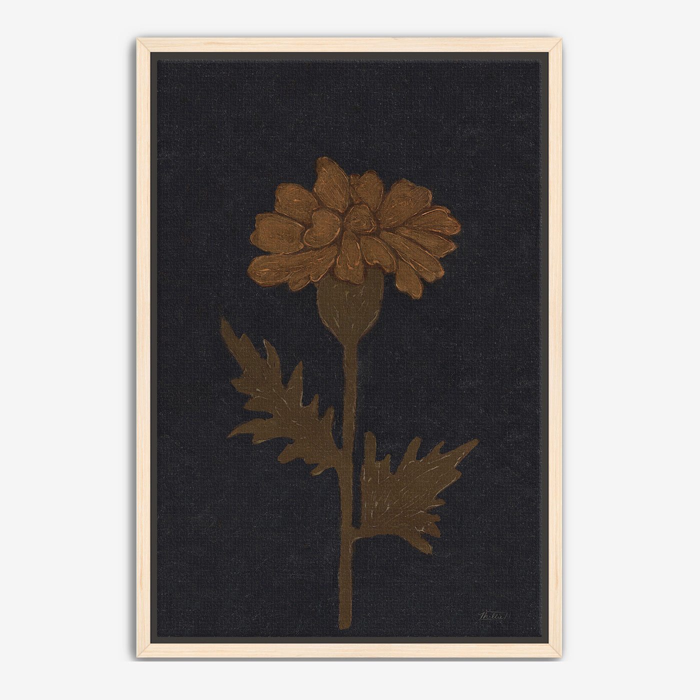 Marigold in Black