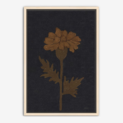 Marigold in Black