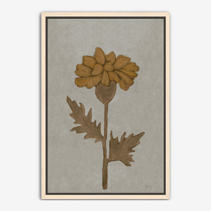 Marigold in Grey
