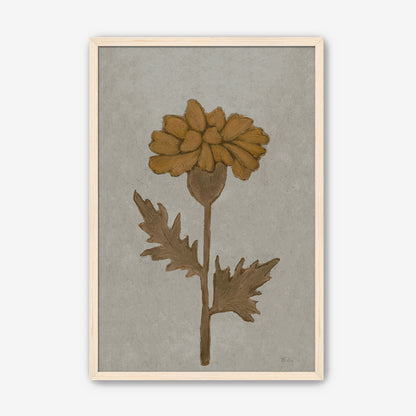 Marigold in Grey