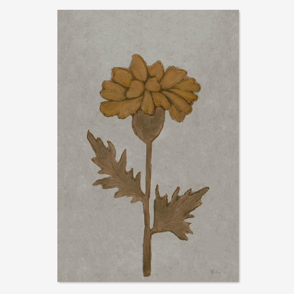 Marigold in Grey