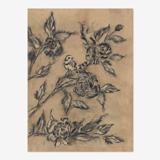 Velada de pájaros cantores II